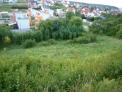 Baugrundstück Höchberg